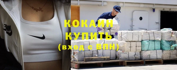mdpv Вяземский