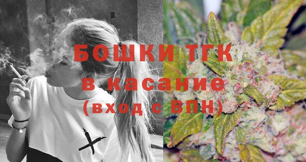 mdpv Вяземский