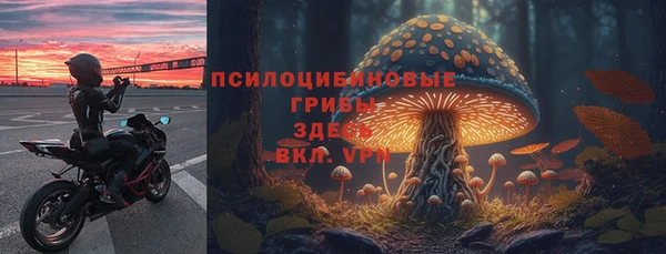 mdpv Вяземский